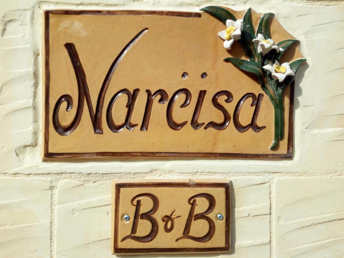 נדור Narcisa Farmhouse B&B מראה חיצוני תמונה